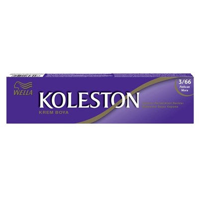 Koleston Tüp Boya Patlıcan Moru 3/66