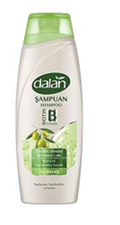 Dalan Şampuan Onarıcı Bakım 450ML