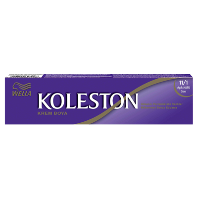 Koleston Tüp Boya Açık Küllü 11/1